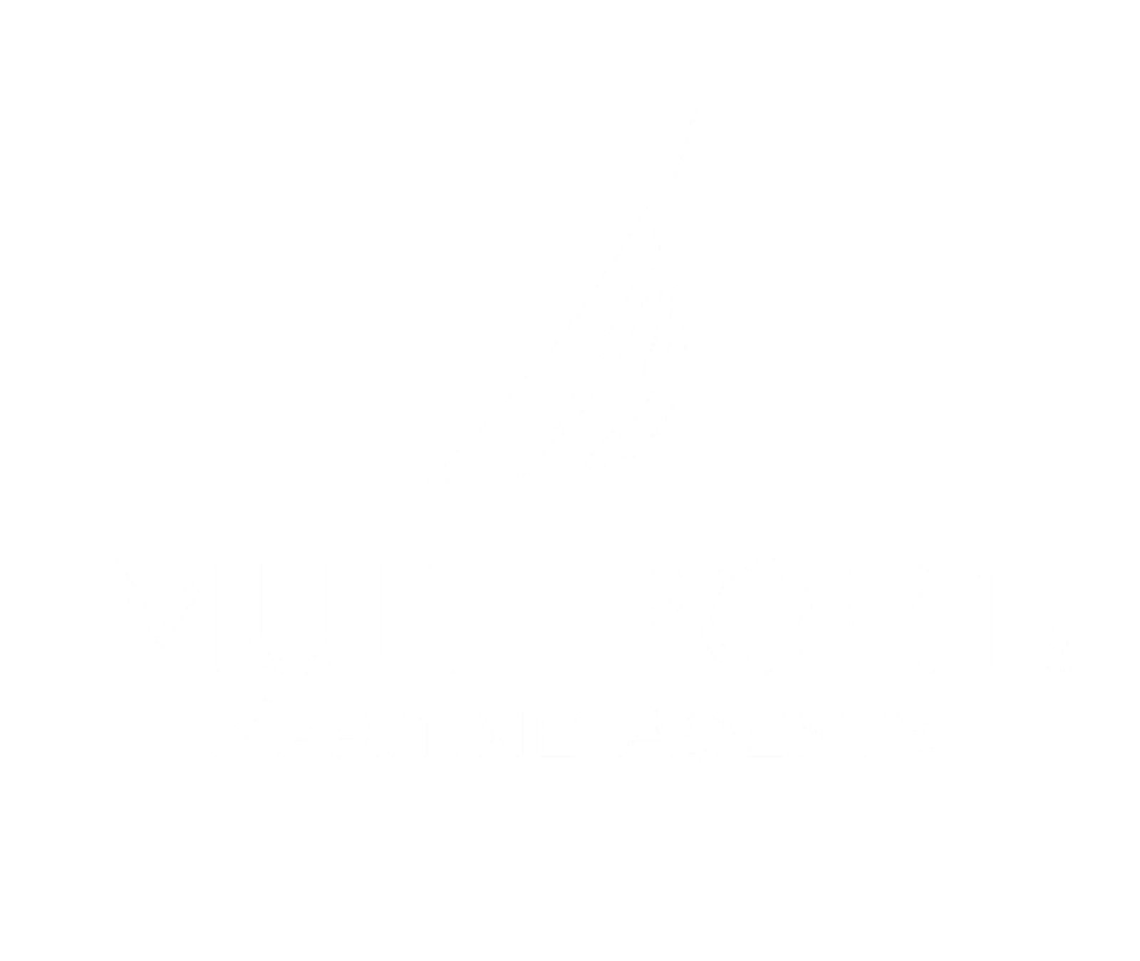 Multiport-logo